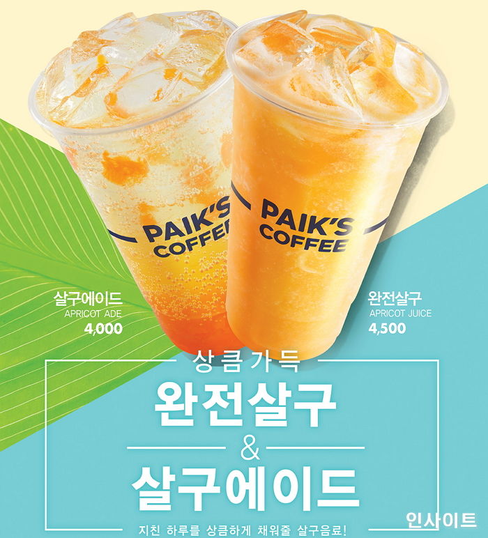 인사이트