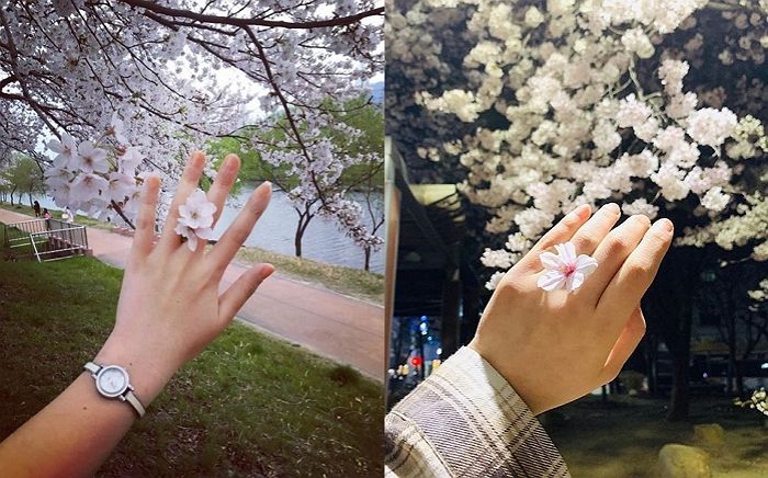 벚꽃축제 놀러 가서 친구랑 만들면 ‘우정+예쁨’ 폭발하는 ‘벚꽃 반지’