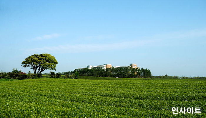 글래드 호텔앤리조트, 퍼스널 모빌리티 서비스 회사 스윙(SWING)과 콜라보 프로모션 진행
