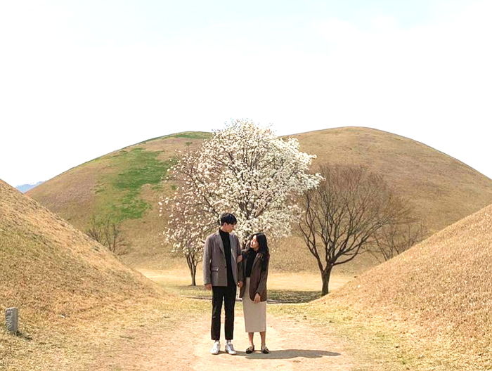 올봄 연인과 사진 찍으면 평생 사랑에 빠진다는 ‘경주 대릉원’ 목련나무샷