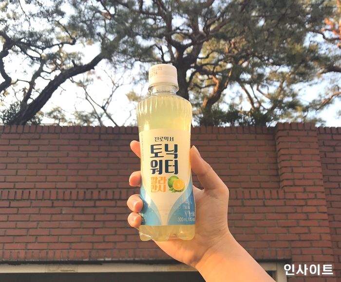 인사이트