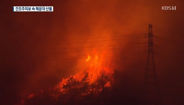 부산 해운대 초대형 산불···‘축구장 28개’ 피해 규모 늘어나