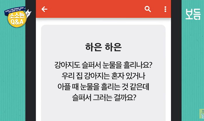 “우리집 ‘댕댕이’도 슬픈 일 있으면 사람처럼 ‘눈물’ 흘린다”