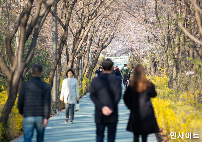 금요일인 내일(5일), 전국에 벚꽃 날릴 ‘강풍’에 ‘미세먼지’ 온다