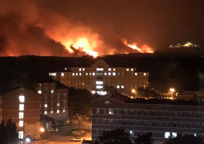 “자고 일어났는데 등교해야 할 학교까지 불길이 번져 있었습니다”