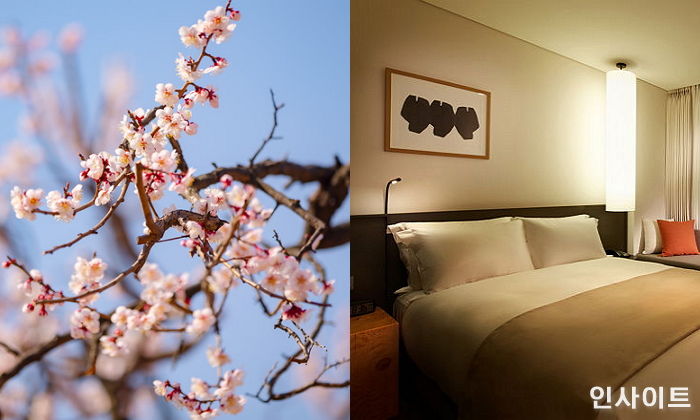 신라스테이, 봄맞이 산뜻한 ‘렛츠 고 온 어 피크닉’ 패키지 출시