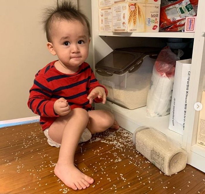 ‘생 쌀’ 퍼먹고 혼날까봐 눈치 보는 ‘세젤귀’ 벤틀리