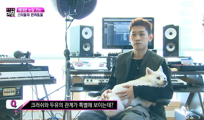 아빠가 진지한 얘기 시작하자 대놓고 ‘꿀잠’자는 크러쉬네 댕댕이 ‘두유’