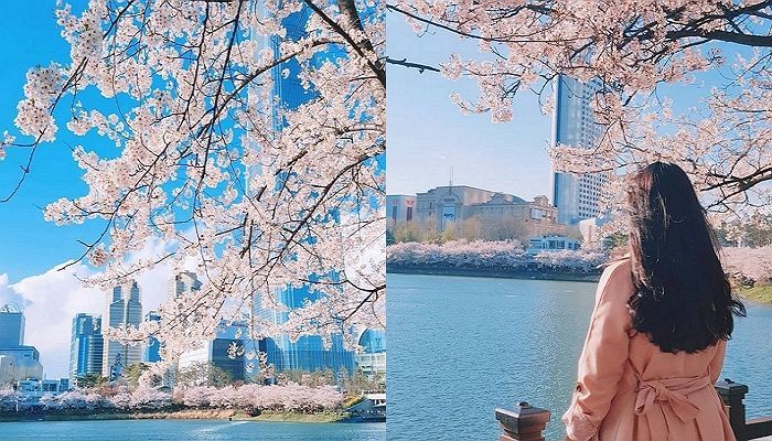 “벚꽃 구경 눈치게임 시작”···내일(8일) 전국 맑고 온화한 봄 날씨
