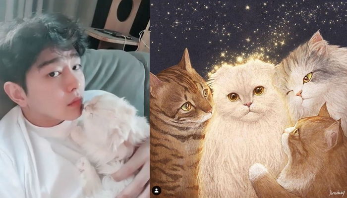 ‘반려묘’ 솜이 떠나보내고 상심한 윤균상이 한 작가에게 받은 ‘하나뿐인’ 선물