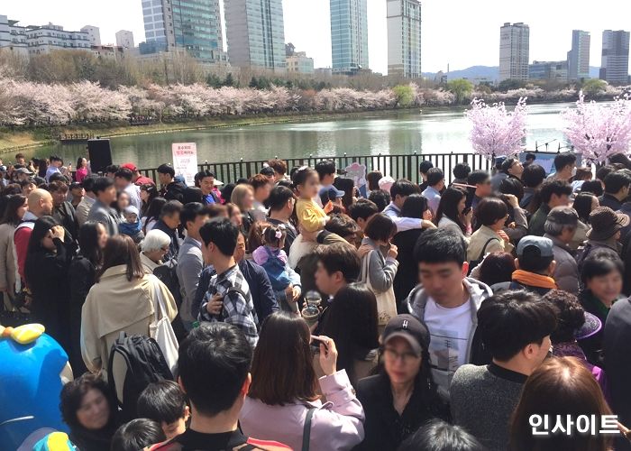 “사람들이 나를 옮겨준다”···‘눈치 게임’ 대실패한 ‘석촌호수 벚꽃축제’ 현재 상황