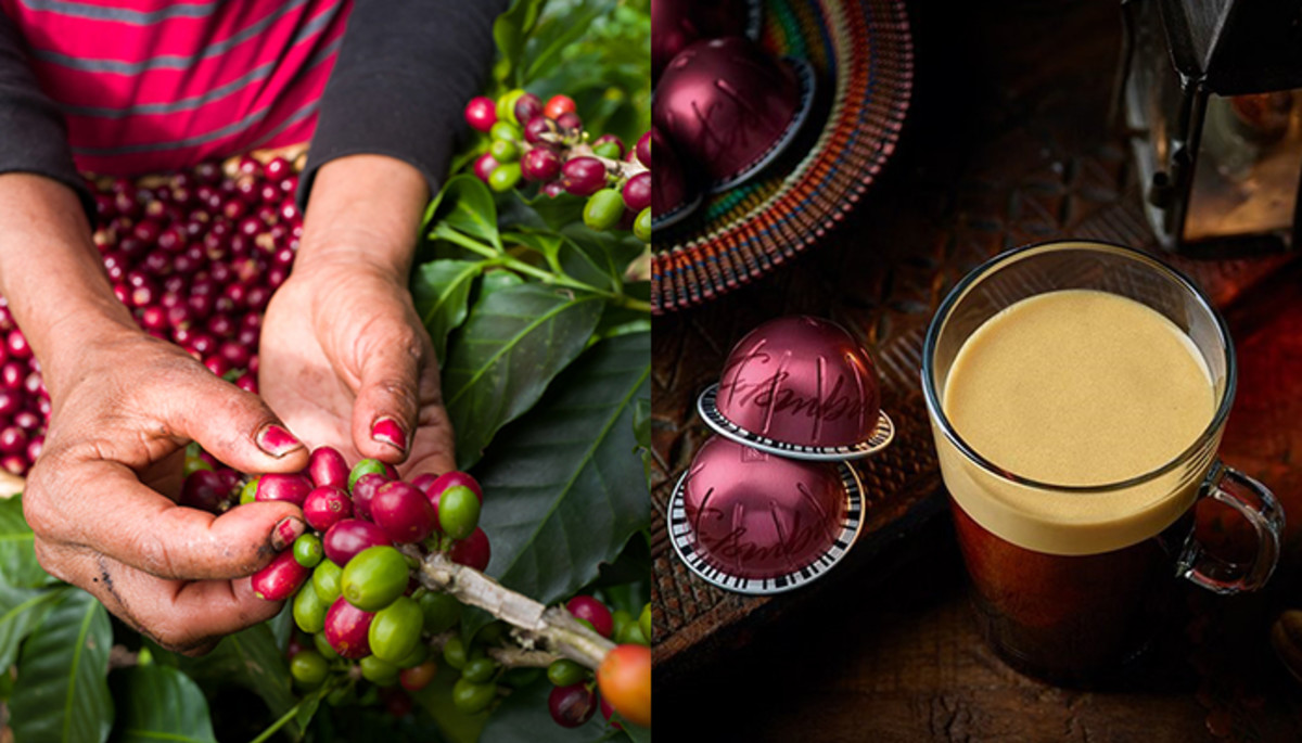 세상 진귀한 가공법은 여기 다 있다! 이것이 커피의 ‘진화’