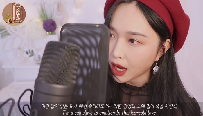 인사이트