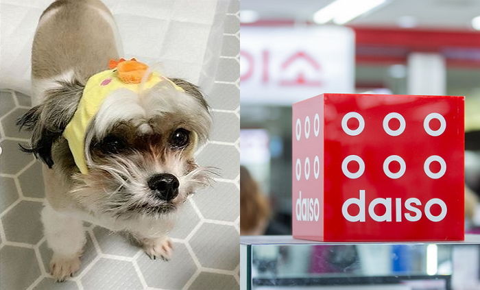 5천원 한 장으로 엄마에게 궁디팡팡 칭찬받을 다이소 ‘레어템’ 5