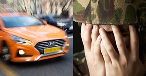 딱일병 이미지