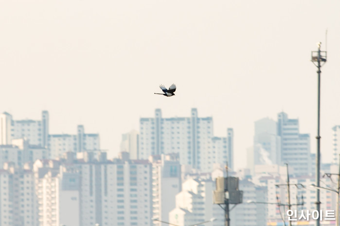 “봄나들이? 꿈도 꾸지 마세요” 날 풀리자마자 오는 주말 미세먼지 ‘폭탄’ 터진다