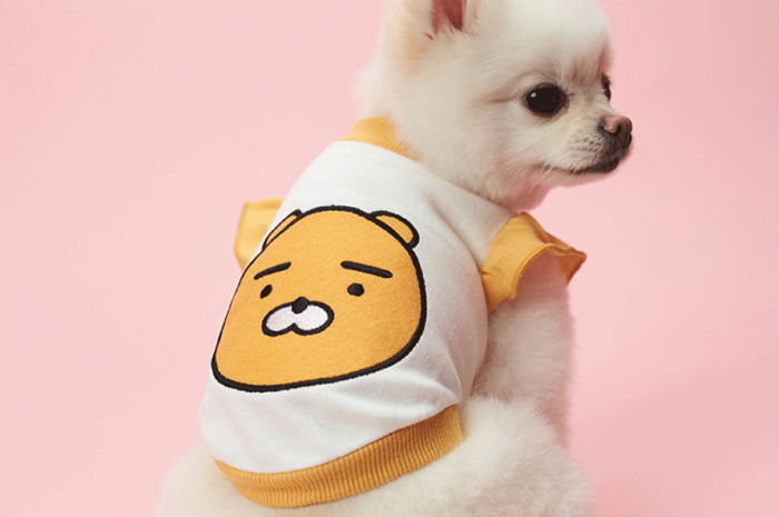 ‘귀여운 애+깜찍한 옷’ 우리 집 댕댕이한테 입히면 사랑스러움 두배 될 ‘라이언 맨투맨’