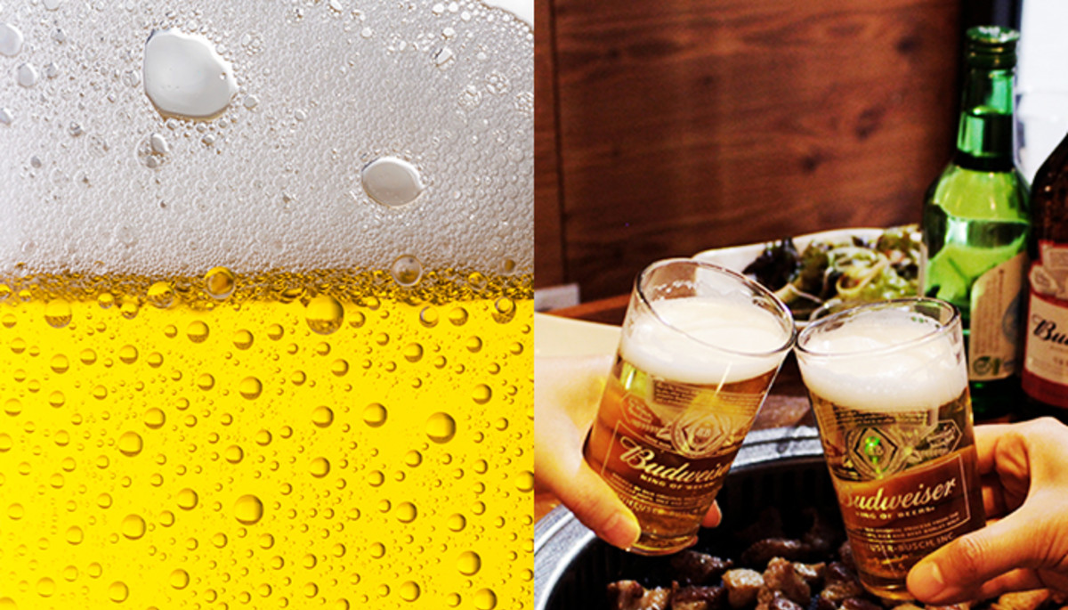 ‘꿀주’로 타먹으면 쓴맛 1도 안 나 3병은 순삭이라는 ‘맥주 끝판왕’