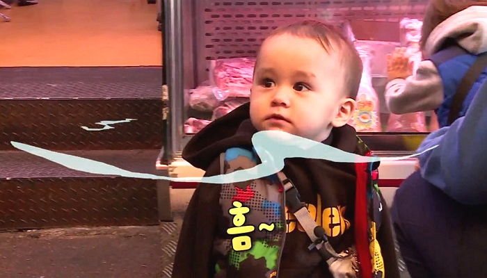 시식용 고기 몰래 먹다가 아빠한테 딱 걸려 ‘화들짝’ 놀라 도망치는 벤틀리