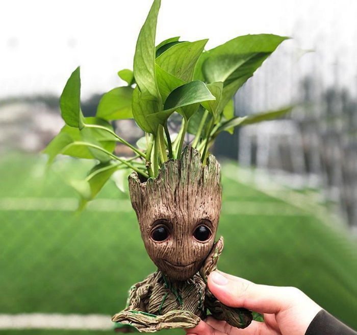 “아임 그루트”···어벤져스 보고 나면 ‘구매욕구’ 폭발하는 베이비그루트 화분