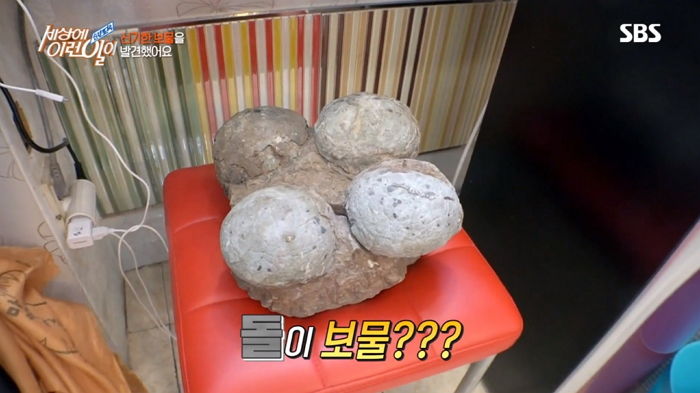 학교 끝나고 집 가다가 아파트 화단에서 희귀한 ‘공룡알 화석’ 발견한 초등학생
