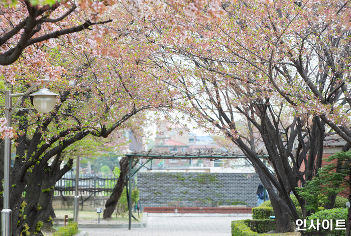 인사이트 / 사진=박찬하 기자 chanha@