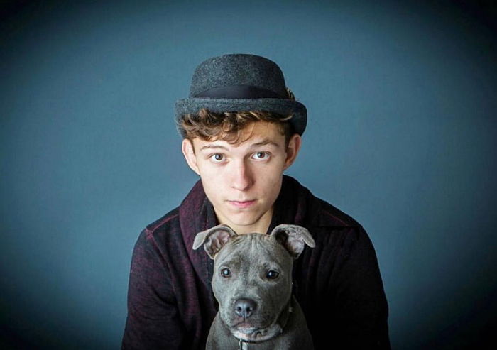 ‘스파이더맨’ 톰 홀랜드가 왜 소문난 ‘댕덕’인지 알 수 있는 사진 25장