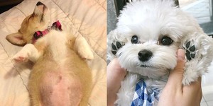 공감 이미지