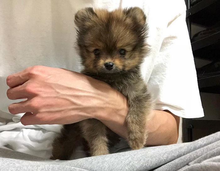 스타와 곰돌이 이미지