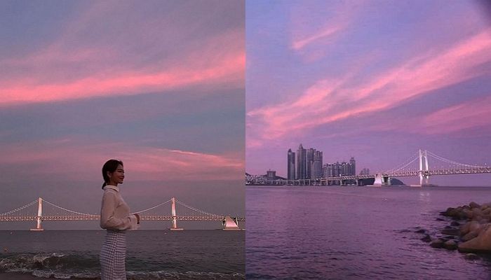 노을북스 이미지