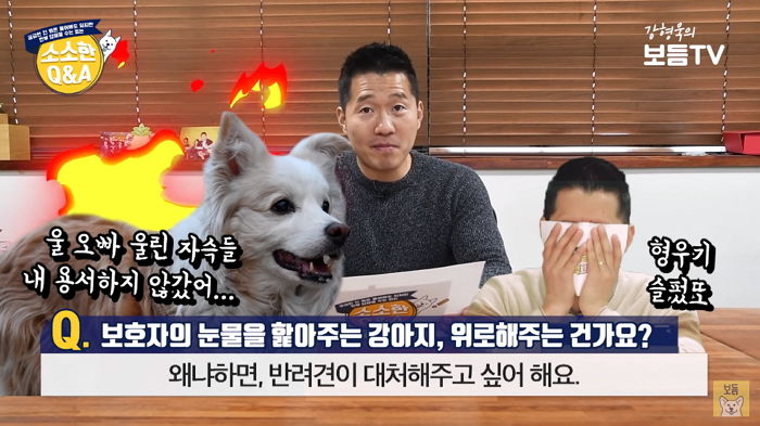 주인이 울면 강아지도 똑같이 슬픔 느껴 ‘우울증’에 걸린다