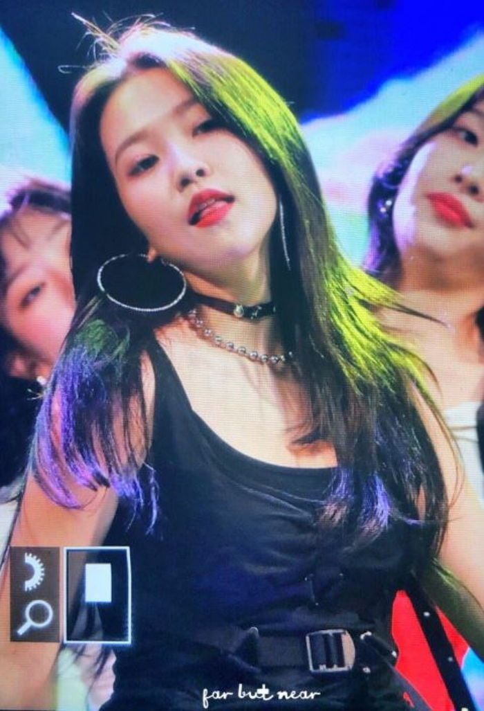 인사이트
