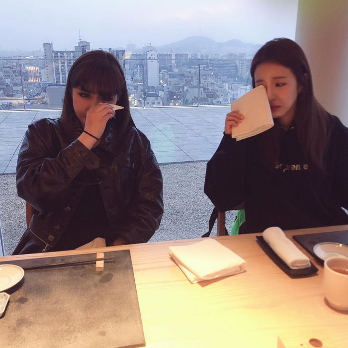 인사이트