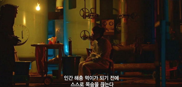 인사이트