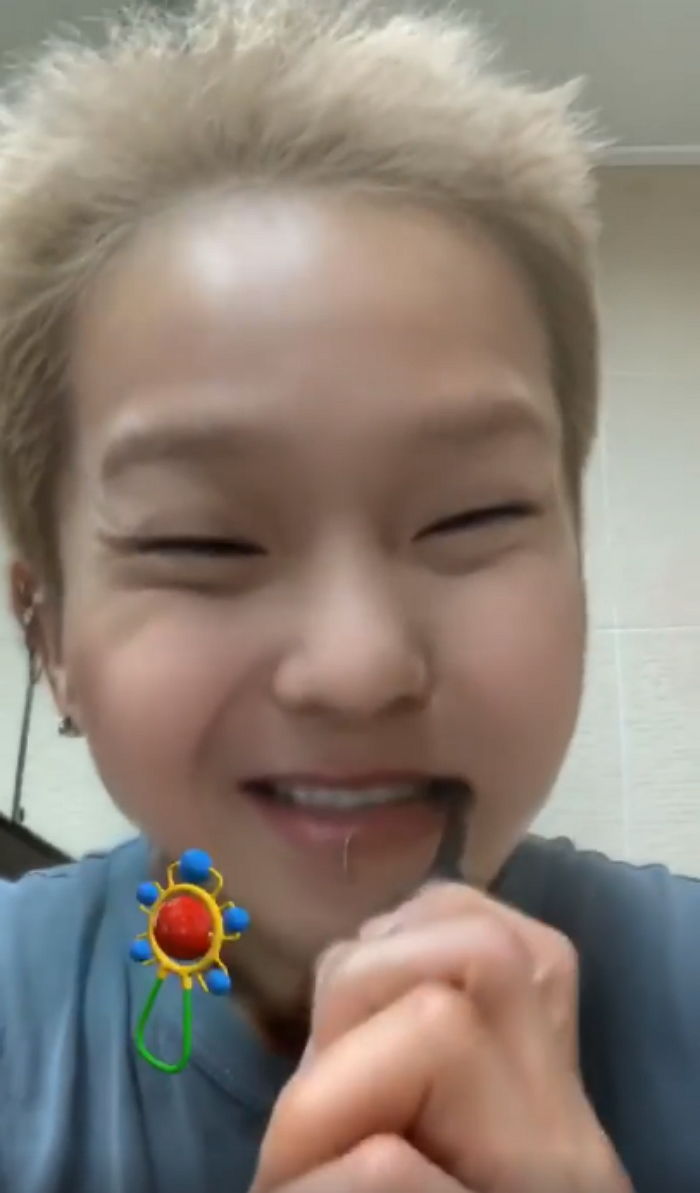 인사이트
