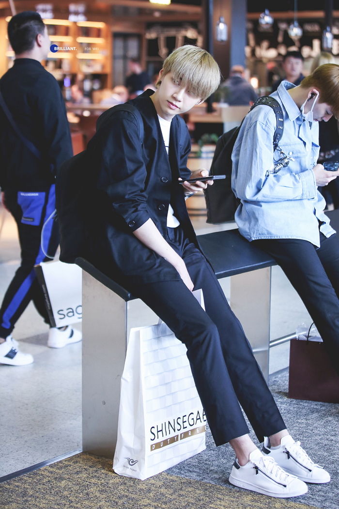 인사이트