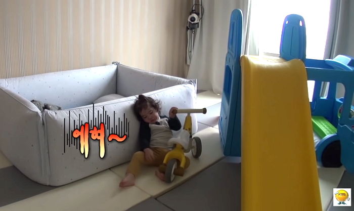 인사이트