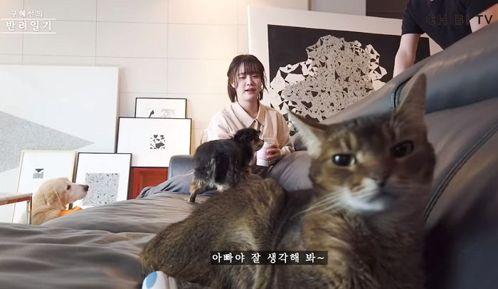 인사이트