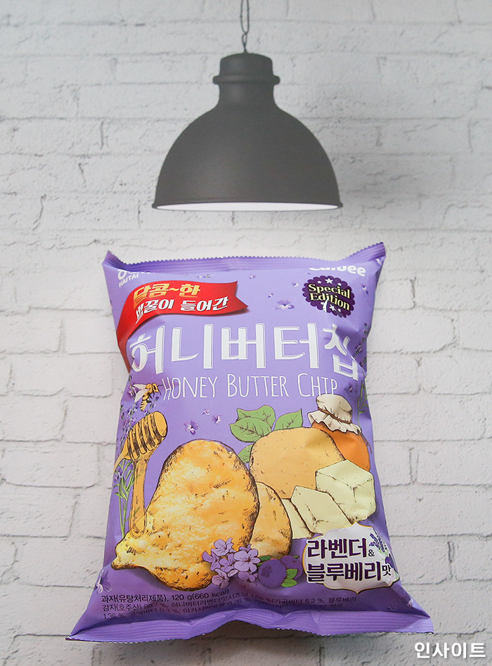 인사이트 / 사진=박찬하 기자 chanha@