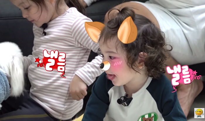인사이트