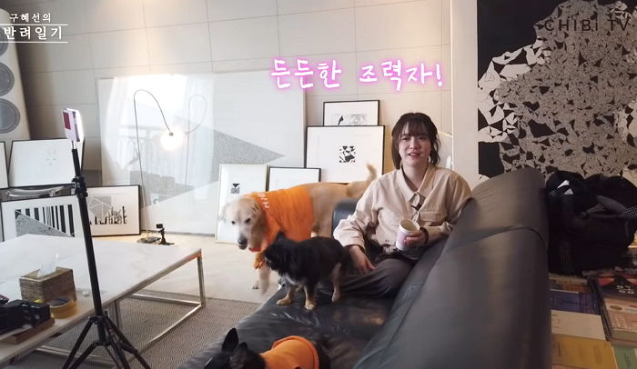 인사이트