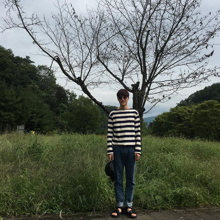 인사이트