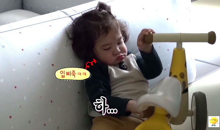 인사이트