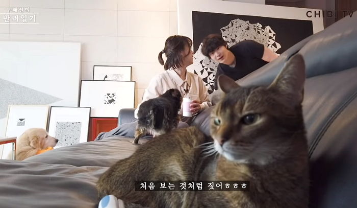 인사이트