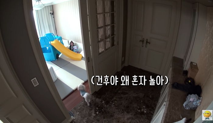 인사이트