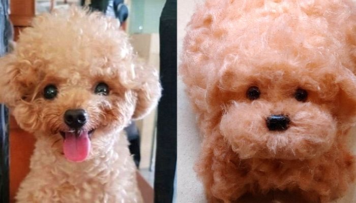 Q. 둘 중 하나는 솜사탕입니다. 어느 쪽이 솜사탕인지 맞혀보세요