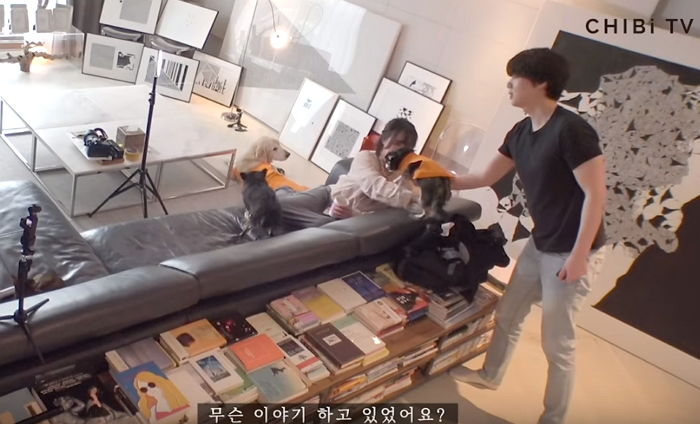 인사이트
