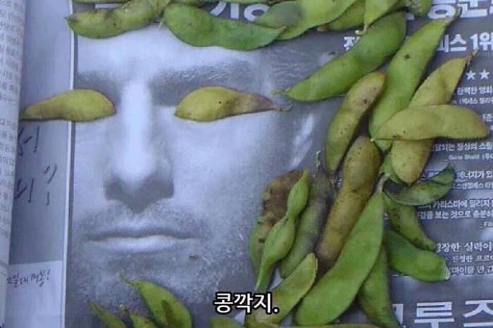 인사이트