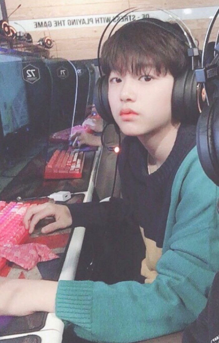 인사이트