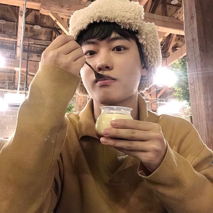 인사이트